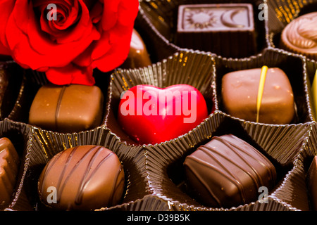 Assortiment de chocolats fins dans une boîte. Banque D'Images