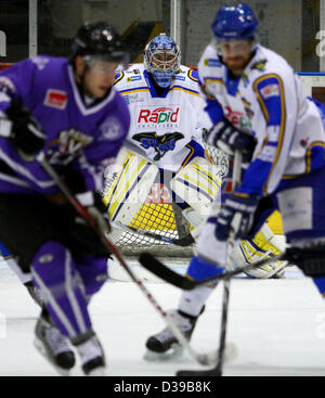 Glasgow, Ecosse, Royaume-Uni. 13 février 2013. Ligue de hockey sur glace élite Braehead Clan v Hull Stingrays Braehead Arena. Victoire 4-1 du clan. Credit : ALAN OLIVER / Alamy Live News Banque D'Images