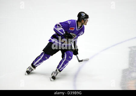 Glasgow, Ecosse, Royaume-Uni. 13 février 2013. Ligue de hockey sur glace élite Braehead Clan v Hull Stingrays Braehead Arena. Victoire 4-1 du clan. Credit : ALAN OLIVER / Alamy Live News Banque D'Images