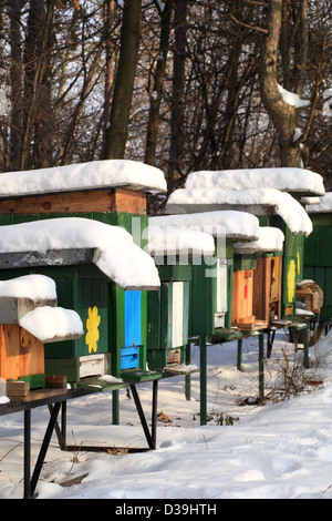 Le rucher en bois avec des ruches sur une journée d'hiver ensoleillée, petites Karpates, la Slovaquie. Banque D'Images