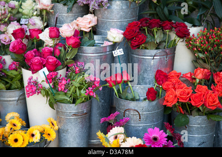 Borough Market SE1 marchande de fleurs - London UK Banque D'Images