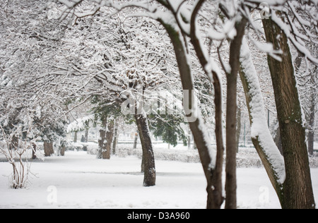 Les fortes chutes de neige et froid hiver afernoon Banque D'Images