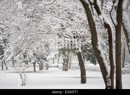 Les fortes chutes de neige et froid hiver afernoon Banque D'Images