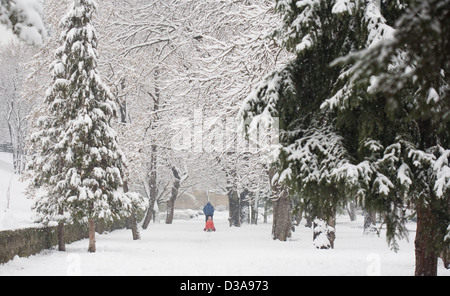 Les fortes chutes de neige et froid hiver afernoon Banque D'Images