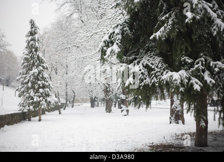 Les fortes chutes de neige et froid hiver afernoon Banque D'Images