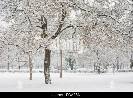 Les fortes chutes de neige et froid hiver afernoon Banque D'Images