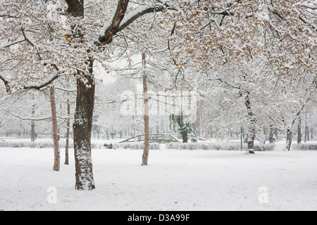 Les fortes chutes de neige et froid hiver afernoon Banque D'Images