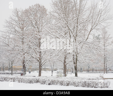 Les fortes chutes de neige et froid hiver afernoon Banque D'Images