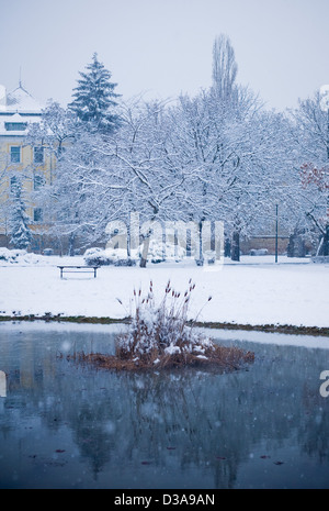 Les fortes chutes de neige et froid hiver afernoon Banque D'Images