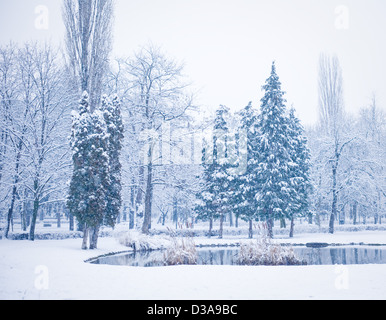 Les fortes chutes de neige et froid hiver afernoon Banque D'Images