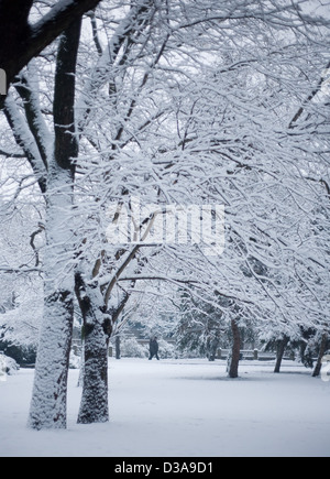 Les fortes chutes de neige et froid hiver afernoon Banque D'Images