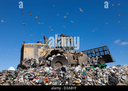 Travailler sur des machines d'enfouissement des déchets dans Banque D'Images