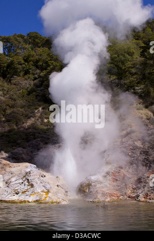 La vallée volcanique de Waimangu Ile du Nord Nouvelle Zélande Banque D'Images