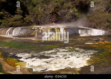 La vallée volcanique de Waimangu Ile du Nord Nouvelle Zélande Banque D'Images