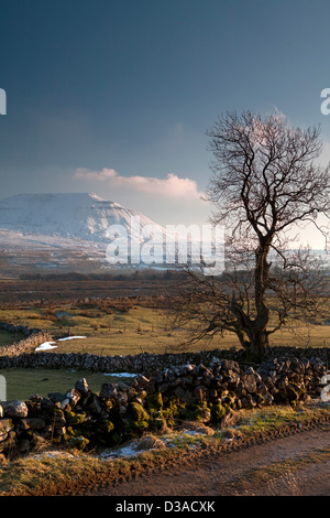 Vue sur Parc et Ingleborough sont tombées dans les vallées du Yorkshire du Nord Ouest, près de Chapelle le Dale Banque D'Images