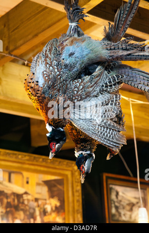 Hanging Faisans à Borough Market à Londres SE1 - UK Banque D'Images