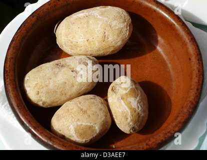 Papas arrugadas (pommes de terre bouillies dans l'eau salée) est plat typique de Tenerife, Îles Canaries Banque D'Images