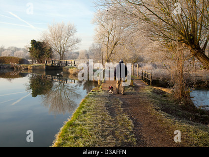 La promenade du chien sur un matin hivers Banque D'Images