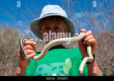Boy holding boa serpent, Canyon Agua Caliente, Baja California, Mexique. Banque D'Images
