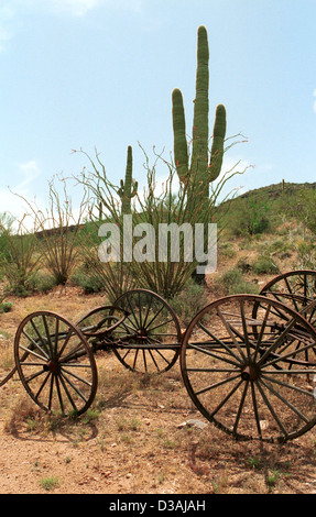 Buckboard et saguaro cactus dans le désert de Sonora en Arizona, USA, Arizona, wagon,paysage Banque D'Images