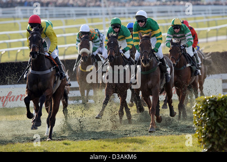 Les jockeys montent leurs chevaux à l'avant de la tribune au cours de la Cheltenham Festival chaque année un événement de course de chevaux en Angleterre Banque D'Images