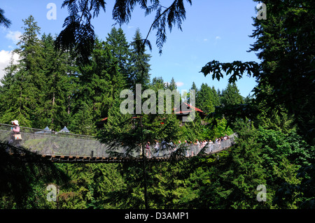 Les touristes sur le pont suspendu de Capilano Suspension Bridge Park Vancouver passerelle suspendu en porte-à-faux frisson grande hauteur Banque D'Images