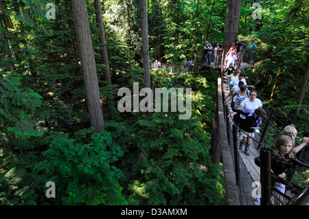 Les touristes sur la cime des arbres à pied au Pont Suspendu de Capilano Vancouver Parc suspendu en porte-à-faux frisson allée hauteur élevée Banque D'Images