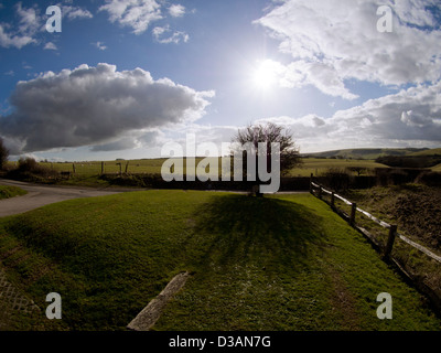 Photo grand-angle d'un arbre isolé sur les South Downs, Sussex, England, UK Banque D'Images