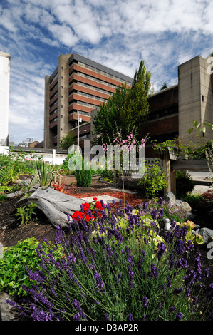 Jardin communautaire de Davie Village Vancouver BC Canada affectations affectation centre-ville terrain jardinage Jardins parcelles Banque D'Images