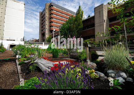 Jardin communautaire de Davie Village Vancouver BC Canada affectations affectation centre-ville terrain jardinage Jardins parcelles Banque D'Images