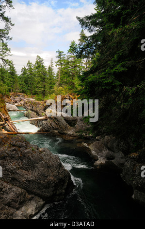 Cascade Falls River whitewater Little Qualicum Falls Provincial Park Colombie-Britannique BC Canada Banque D'Images