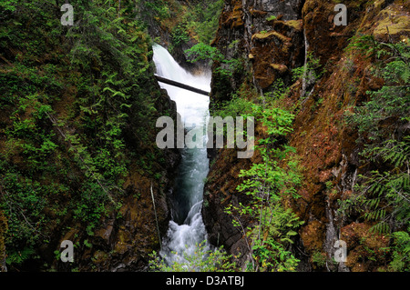 Cascade Falls River whitewater Little Qualicum Falls Provincial Park Colombie-Britannique BC Canada Banque D'Images