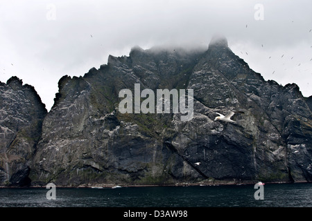 La mer le stacs du Stac Lee, Stac Un Armin et l'île de Boreray avec des colonies d'oiseaux de mer, Hilda dans l'archipel de St Kilda Banque D'Images