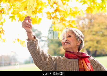 Mixed Race woman admiring autumn leaves Banque D'Images