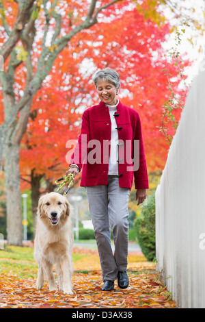 Mixed Race woman walking dog Banque D'Images