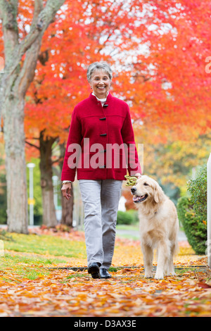 Mixed Race woman walking dog Banque D'Images