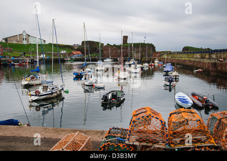 Une vue de Dunbar port avec des casiers à homard à l'avant-plan et Dunbar Castle dans l'arrière-plan. Dunbar, East Lothian, Scotland Banque D'Images