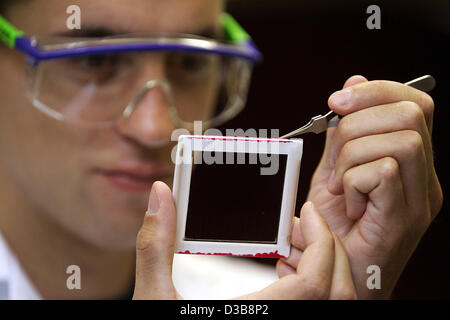 (Afp) - Daniel Huehnerich biochimiste de l'Université technique de Munich les chaînes une trame avec le fil d'araignée artificielle à Munich, Allemagne, le mardi 05 juillet 2005. Huehnerich et ses collègues ont produit le gossamer avec l'aide de bactéries génétiquement modifiées. Pour la première fois la nouvelle méthode mak Banque D'Images