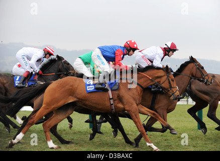 Les jockeys montent leurs chevaux pendant le Cheltenham Festival chaque année un événement de course de chevaux en Angleterre Banque D'Images