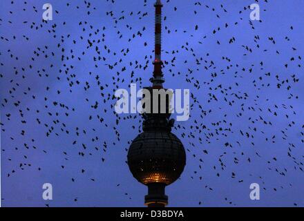 (Afp) - Un essaim de corbeaux voler sur le ciel nocturne du Berlin en face de la tour radio à Alexanderplatz (place Alexander), 16 janvier 2003. Banque D'Images