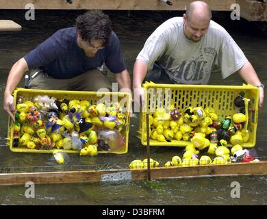 (Afp) - Au début de la course de canards traditionnels les aides Steve Lemmens (L) et Tobias Strecker pour deux paniers de canards en plastique concurrentes dans le canal Leine à Goettingen, Allemagne, 21 juin 2003. Sur une étendue de 300 m les canards en concurrence dans les catégories 'canard le plus rapide' et 'best ornée d Banque D'Images