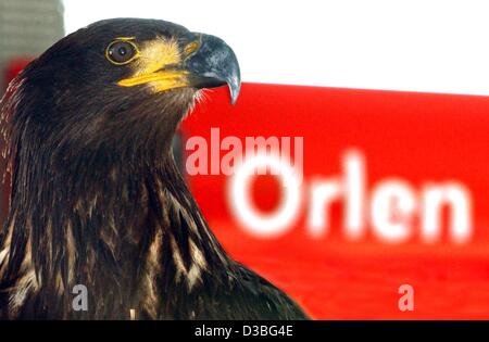 (Afp) - Un aigle doré se trouve à côté du logo du groupe pétrochimique polonaise PKN Orlen, à la première station de remplissage Orlen à Berlin, 6 juin 2003. La station essence de Berlin qui a été ouvert aujourd'hui, c'est la première station de charge en Allemagne du groupe polonais PKN Orlen. Dans les wee Banque D'Images