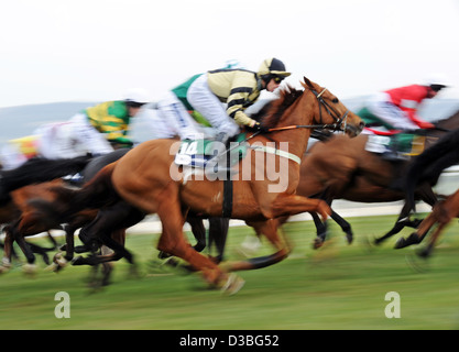 Les jockeys montent leurs chevaux à l'avant de la tribune au cours de la Cheltenham Festival chaque année un événement de course de chevaux en Angleterre Banque D'Images