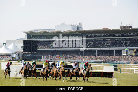 Les jockeys montent leurs chevaux à l'avant de la tribune au cours de la Cheltenham Festival chaque année un événement de course de chevaux en Angleterre Banque D'Images