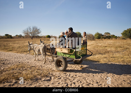 La conduite sur les bushmen traditionnelle charrette à âne Banque D'Images