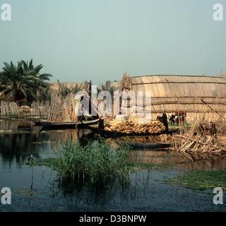 (Dpa) - abris faits de reed sont debout sur une petite île dans la zone marécageuse entre les rivières de l'Euphrate et du Tigre en Irak (sans date). Banque D'Images