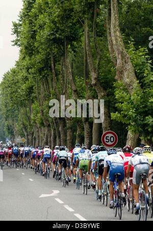 (Afp) - Le pack de cyclistes du vélo sur un chemin de campagne au cours de la 16e étape du Tour de France 2003 cycliste de Pau à Bayonne, France, le 23 juillet 2003. Le 197.5km 16e étape de la course cycliste le plus important au monde a conduit les cyclistes de Pau à Bayonne. Banque D'Images