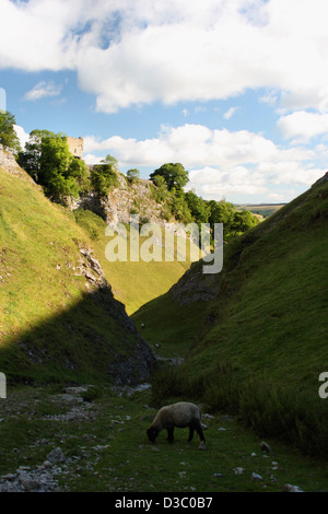 Château de Peveril et dale grotte au-dessus de gorges peak cavern dans Castleton Banque D'Images