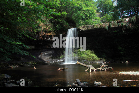 Sgwd Gwladys ou Lady Falls dans le parc national de Brecon Beacons, au sud du pays de Galles, au Royaume-Uni Banque D'Images