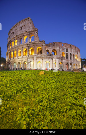 Colisée au crépuscule, Rome, Italie Banque D'Images